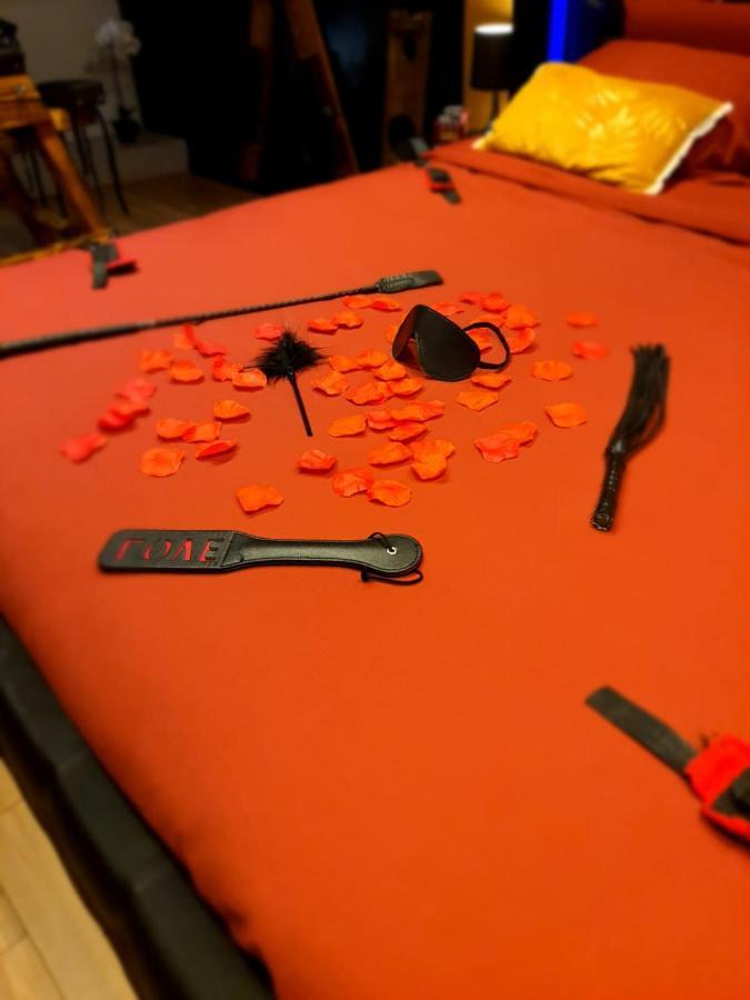 La Loveroom Bdsm Grassoise "La Chambre Des Desirs" جراس المظهر الخارجي الصورة